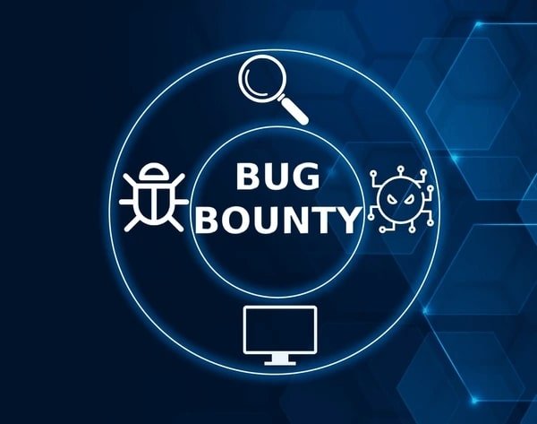 Bug Bounty/Penetration Testing